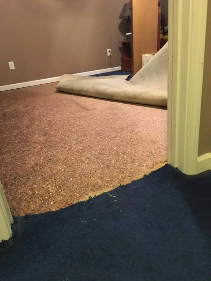 Carpet pad removal revealing water damage during Drying & Dehumidification in Boulder