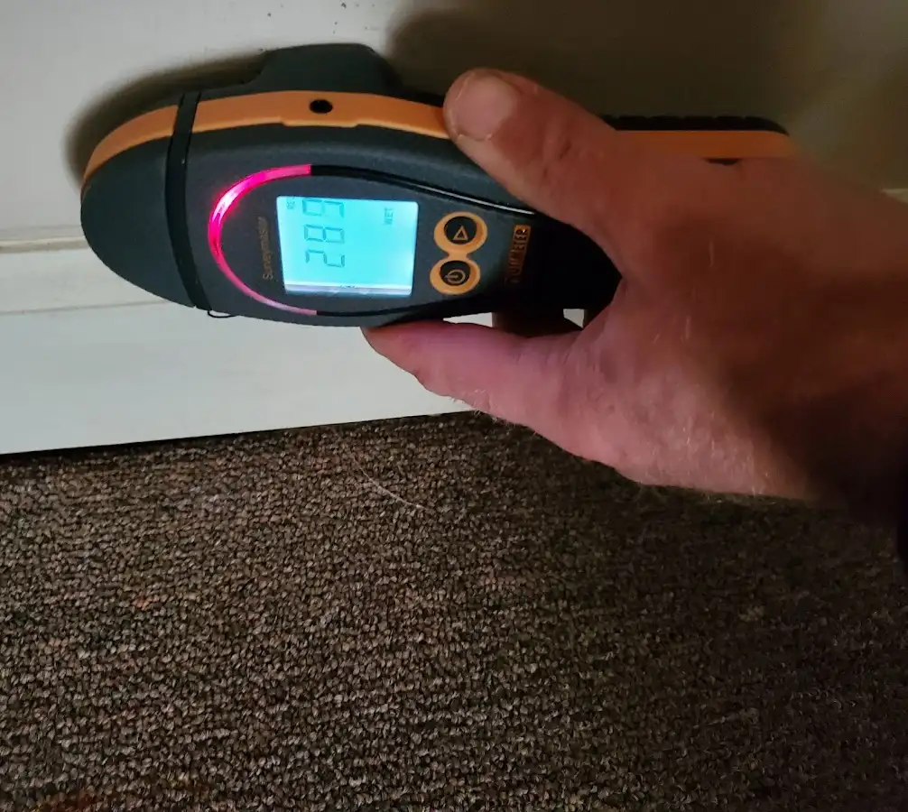 Moisture detection at baseboard during Mold Inspection & Testing in Boulder